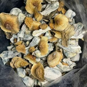 buy magic mushrooms online