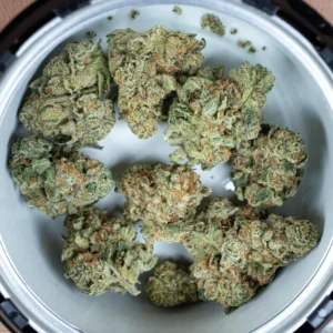 blue zlushie strain review: a refreshing hybrid