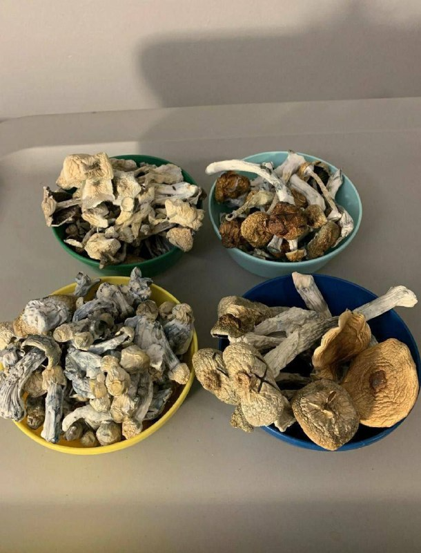 where to buy dried mushrooms where to buy dried mushrooms