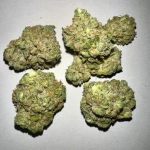 rainbow belts strain