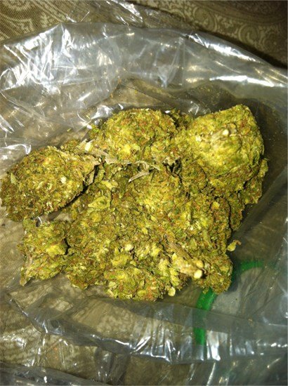 burb | bored grape burb | bored grape