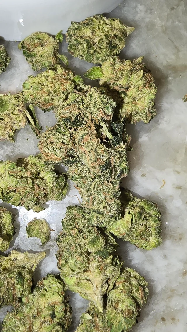 skunk lato shmediums skunk lato shmediums